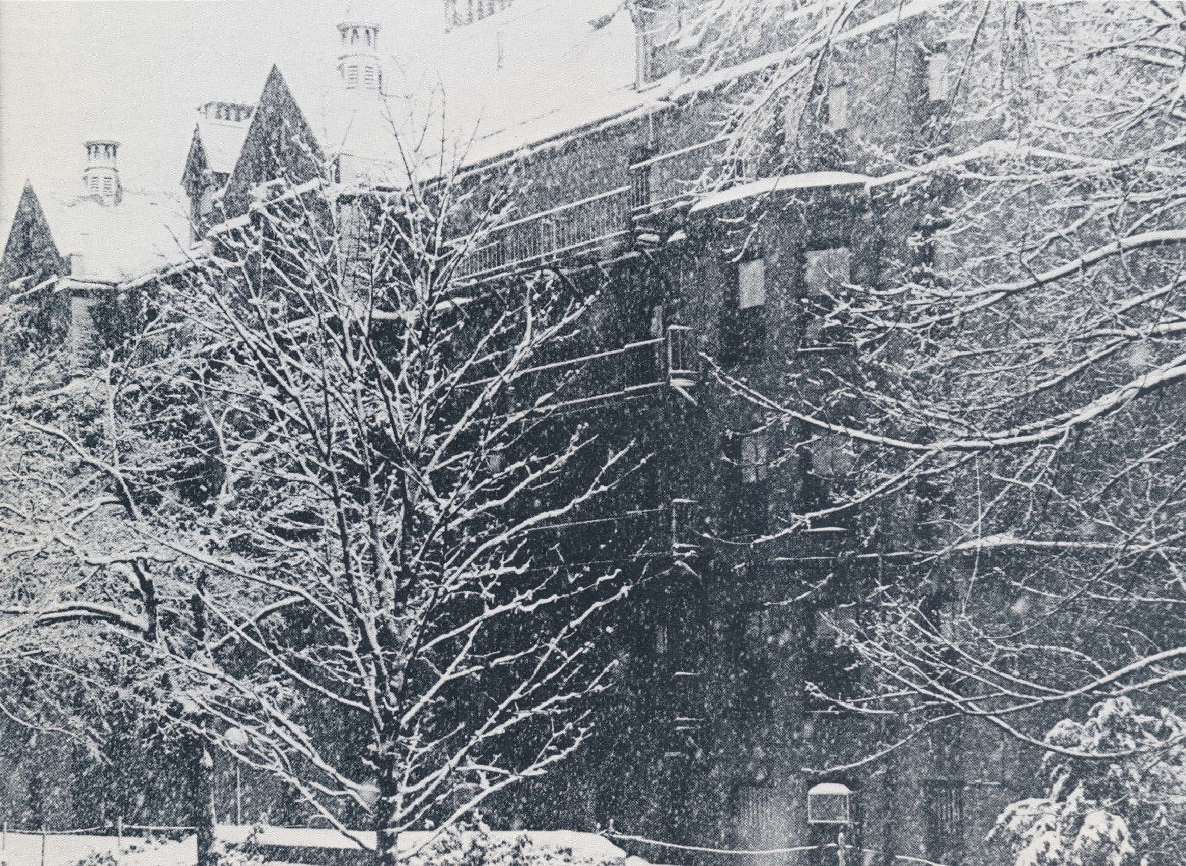 The rear of Hastings Hall during a snow storm in 1977